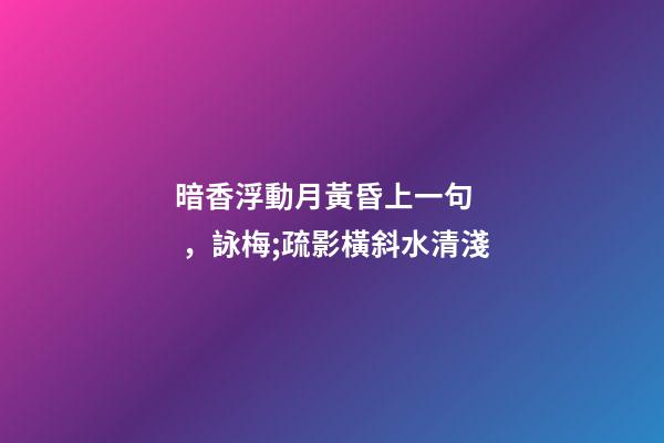 暗香浮動月黃昏上一句，詠梅;疏影橫斜水清淺